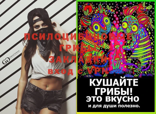 первитин Дмитриев