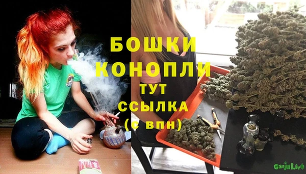 дурь Дмитров