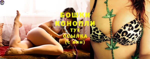 первитин Дмитриев