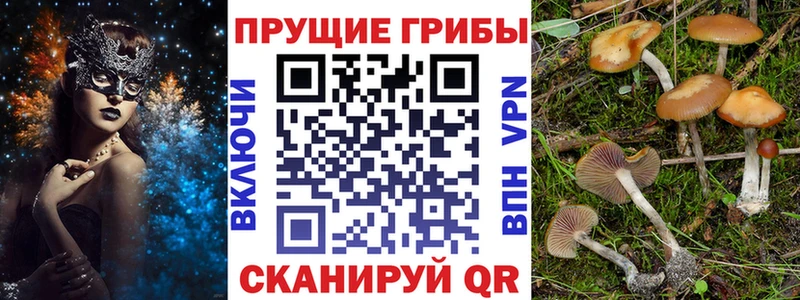 Галлюциногенные грибы мицелий Жердевка