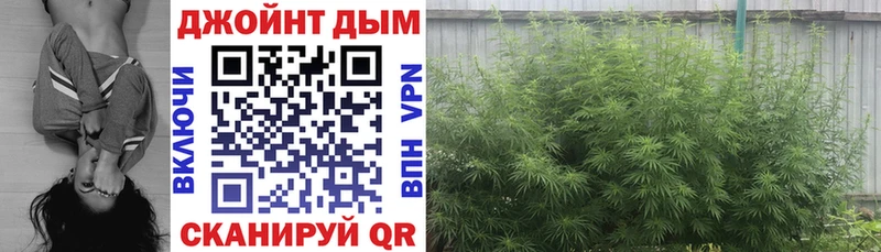 Шишки марихуана VHQ Жердевка